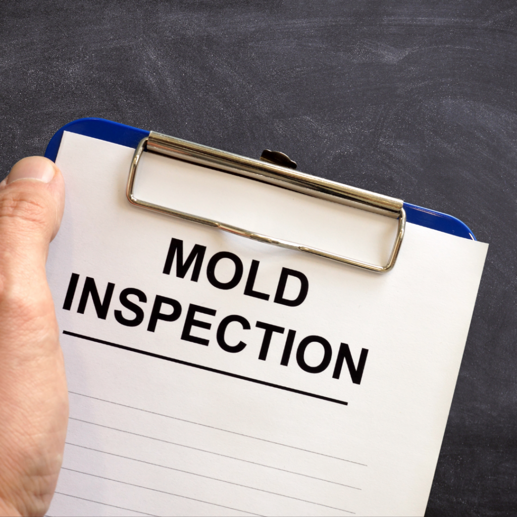 Residential Mold Inspection - Home Inspection Miami FL